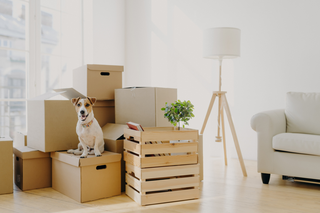 Pros and cons of downsizing
